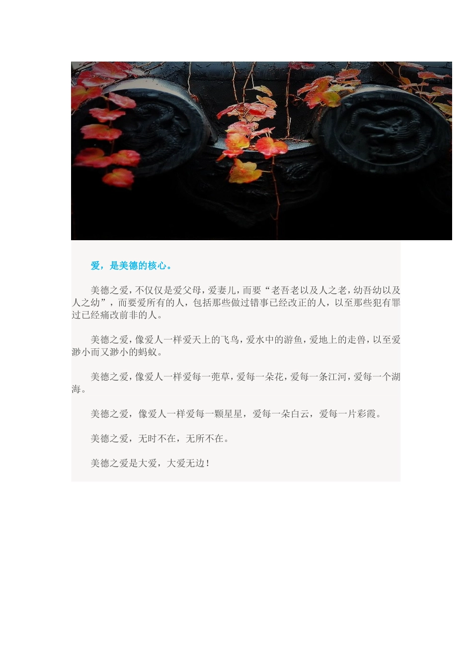 美德，你怎么看_第2页