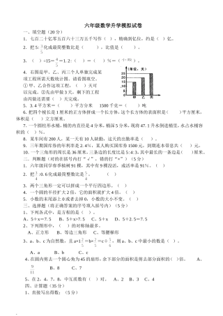 六年级数学升学模拟试卷