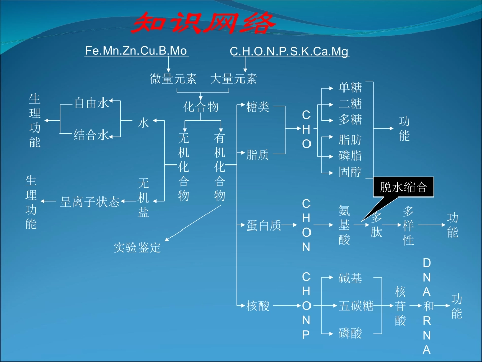 一轮复习全套课件（必修1、2、3）_第2页