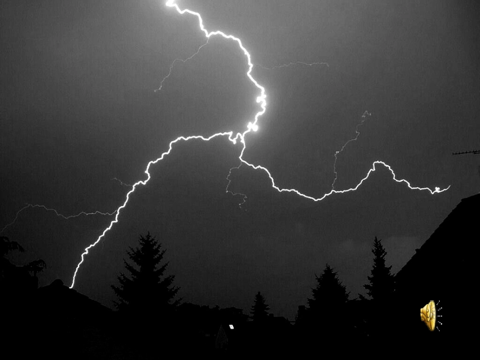 《海燕》 (4)_第1页