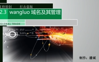 信息技术___域名及其管理