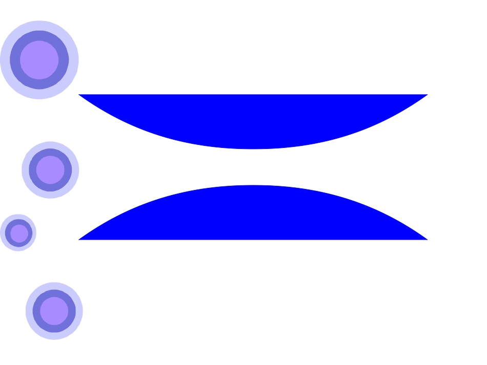食物链和食物网PPT材料_第1页