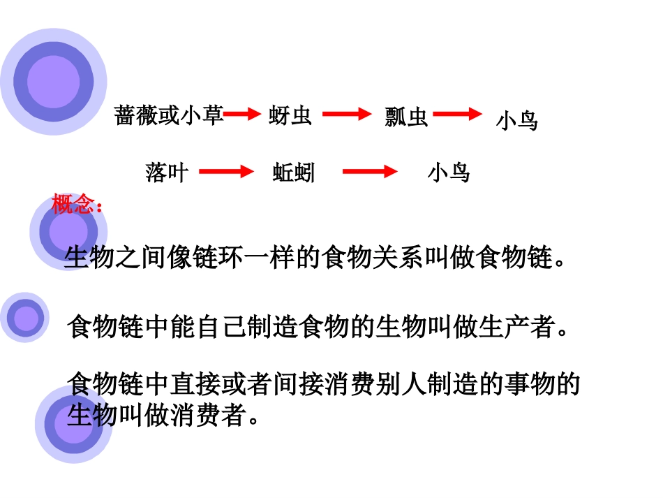 食物链和食物网PPT材料_第3页