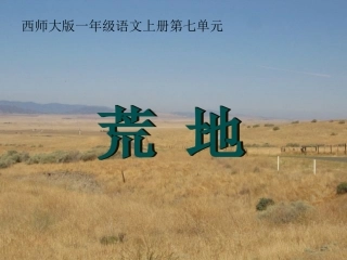 《荒地》教学课件