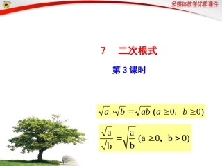 7二次根式第3课时