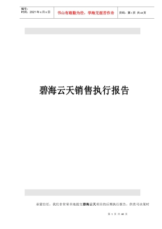 深圳某某房地产销售执行报告