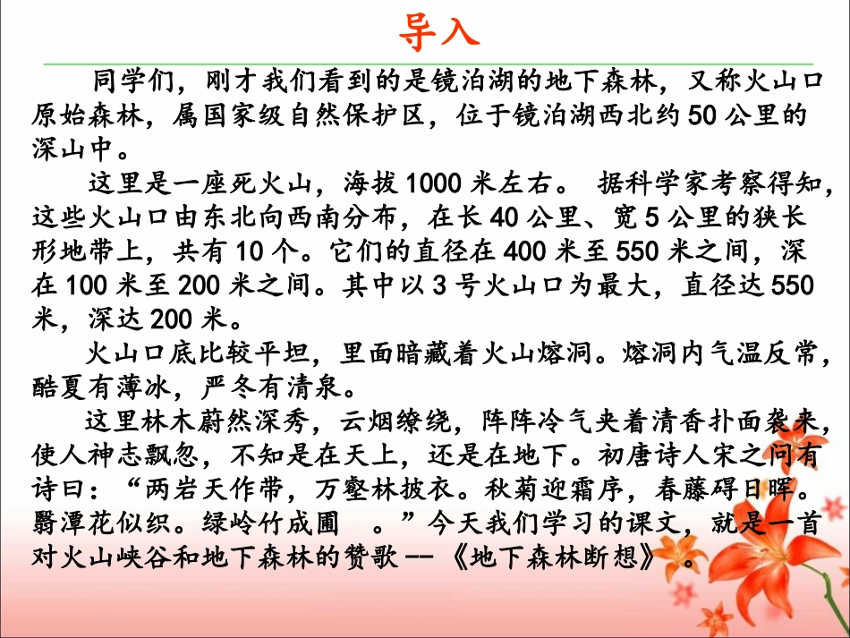 《地下森林断想》_第3页