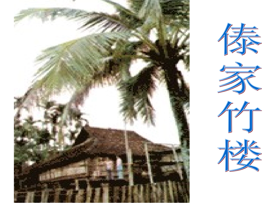 11难忘的泼水节课件4_第2页