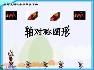 三年级数学下册《轴对称图形》PPT课件之十五（北师大版）