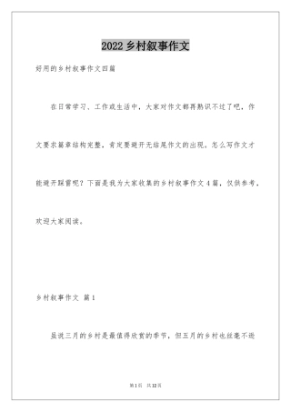 2024乡村叙事作文_17