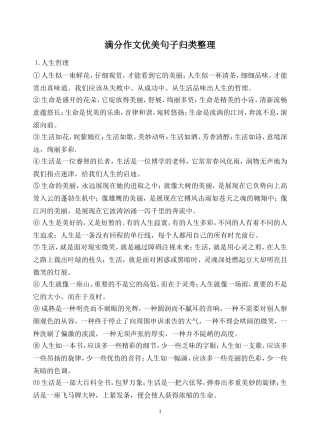 满分作文中的优美句子