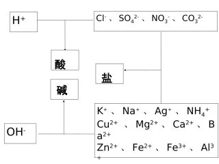 酸碱盐总复习第一轮