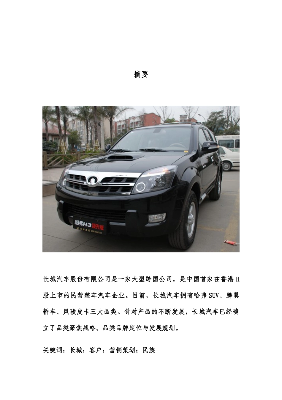 长城汽车市场营销策划方案_第3页