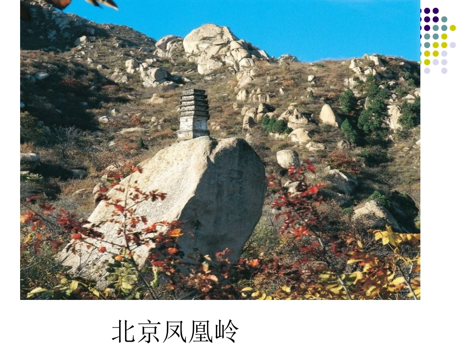 综合性学习：感受自然_第1页