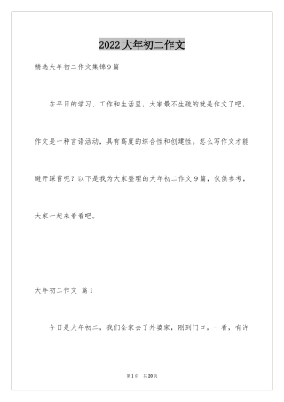 2024大年初二作文_12