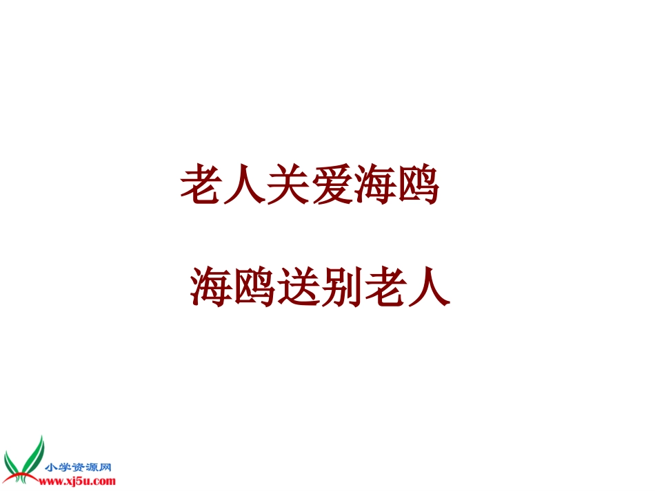 老人与海鸥 课件_第3页