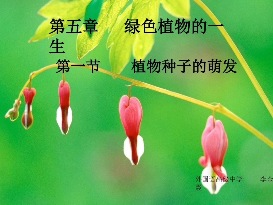 植物种子的萌发_第1页