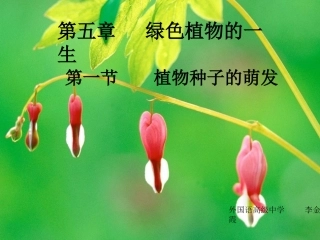 植物种子的萌发