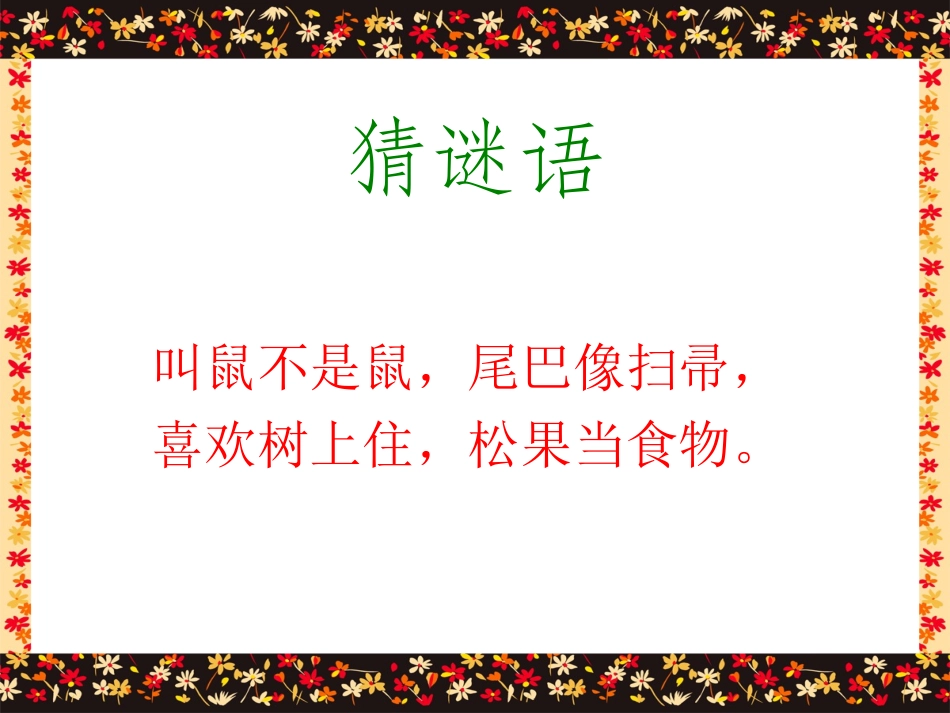 《跑进家来的松鼠》课件_第1页