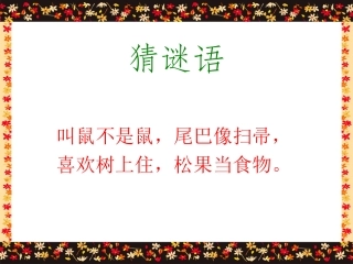 《跑进家来的松鼠》课件