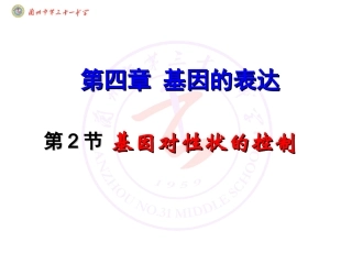 基因对性状的控制（宋志真）