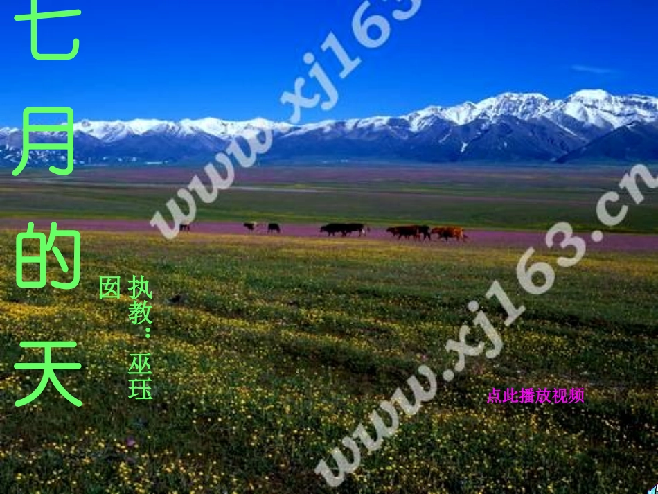 七月的天山小学语文PPT精品课件_第1页