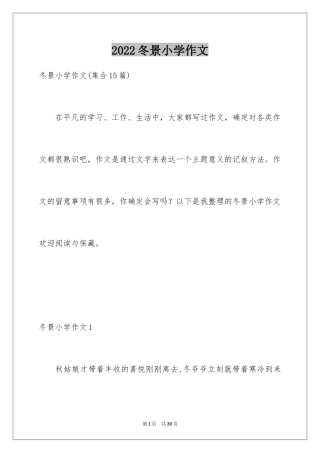 2024冬景小学作文_4