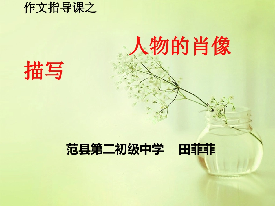 人物的肖像描写_第1页