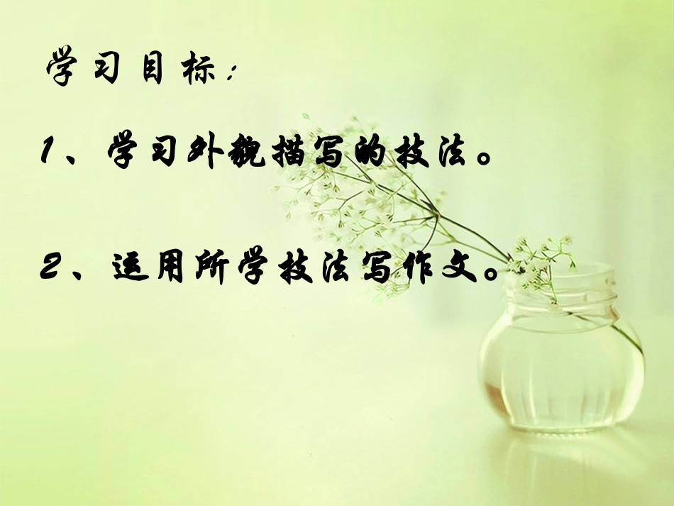 人物的肖像描写_第3页