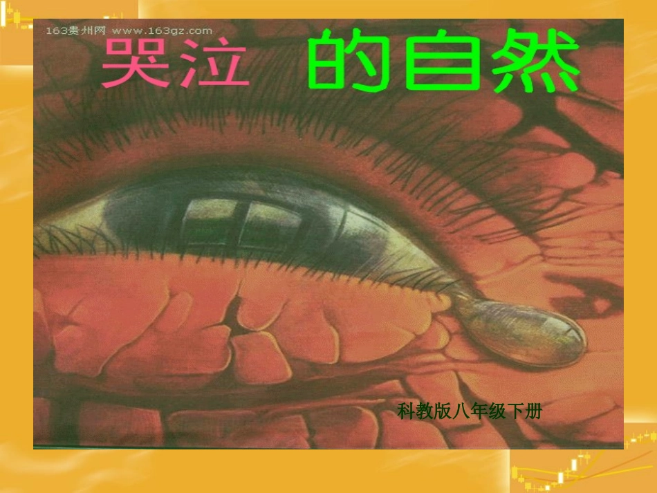 《哭泣的自然》课件_第1页