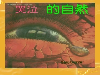 《哭泣的自然》课件