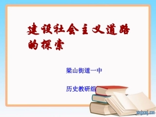 建设社会主义道路探索复习PPT