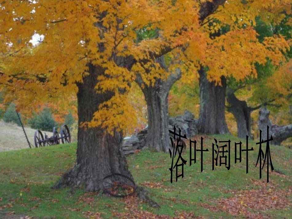 自然地理环境的差异性讲课用_第1页