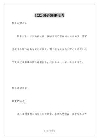 2024国企辞职报告_10