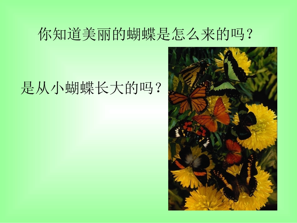 昆虫的生殖和发育课件_第2页