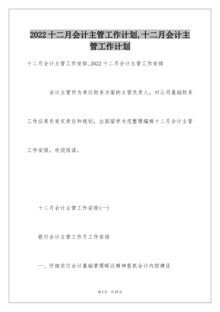 2024十二月会计主管工作计划,十二月会计主管工作计划