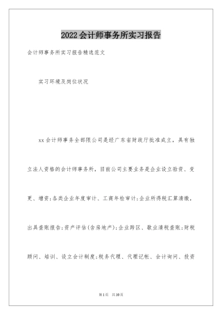 2024会计师事务所实习报告_3