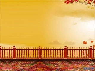 珍藏精美使用的PPT幻灯片背景图片264张