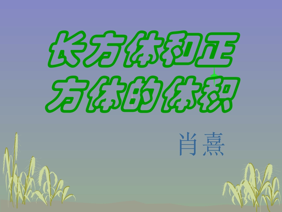 体积---肖熹_第1页