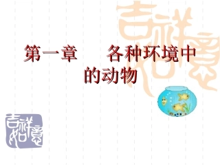 水中生活的动物课件