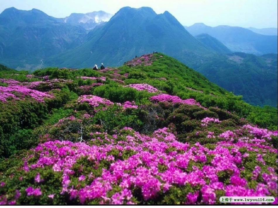 《如今家乡山连山》课发件_第3页