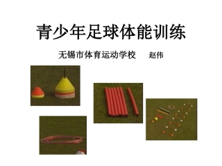青少年足球体能训练方法