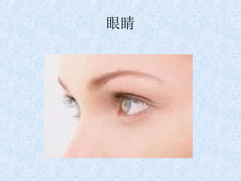 幼儿园大班课件_保护眼睛_第3页