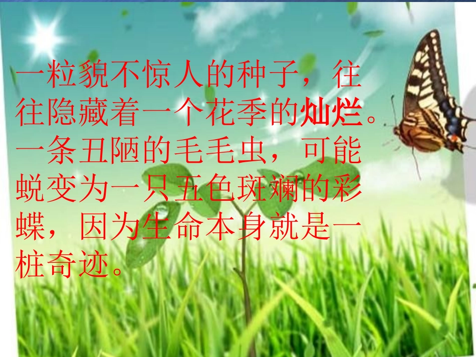 生命生命课件 (2)_第1页