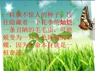 生命生命课件 (2)