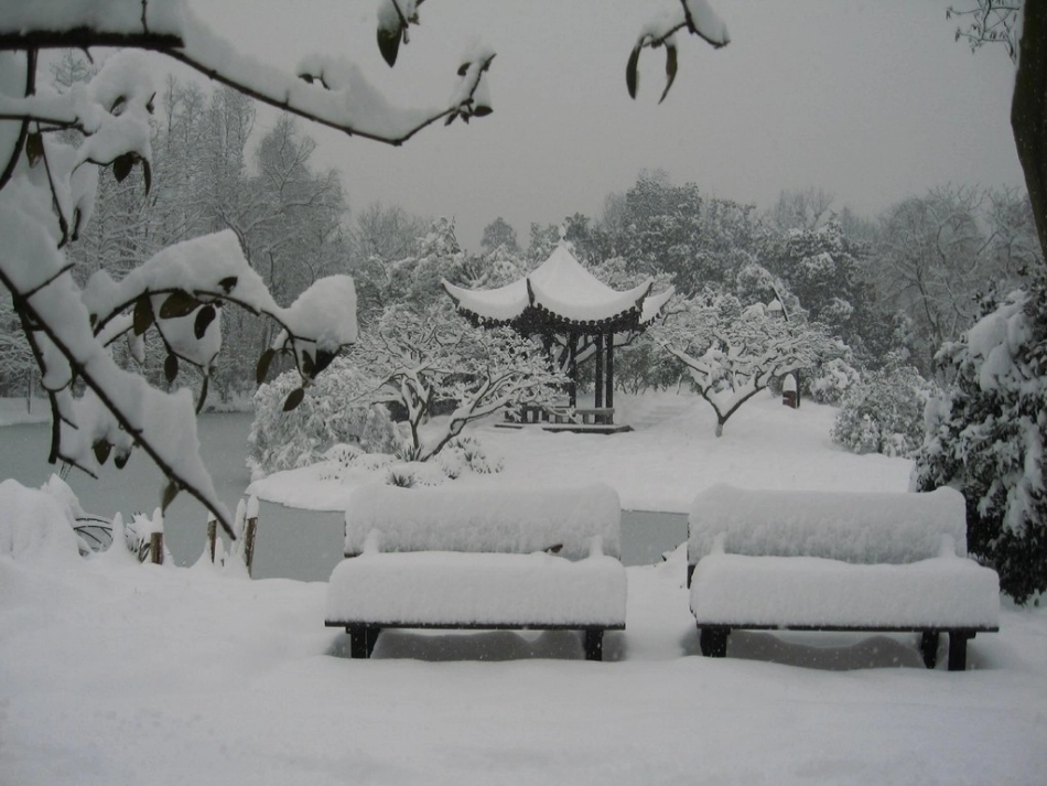 《雪地里的小画家》 (2)_第3页