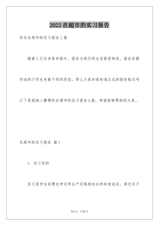 2024在超市的实习报告_22