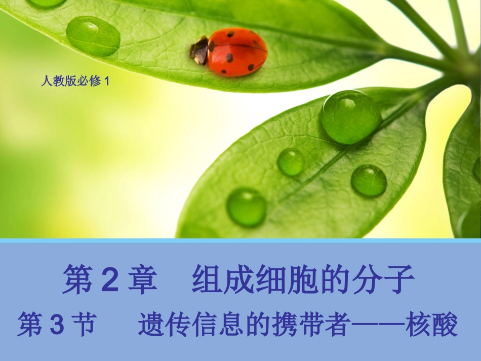 【生物】23遗传信息的携带者——核酸课件2（人教版必修1）_第1页