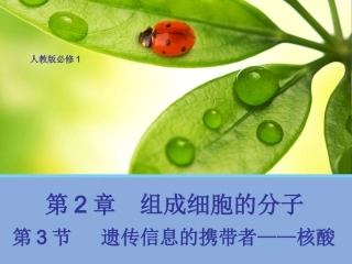 【生物】23遗传信息的携带者——核酸课件2（人教版必修1）