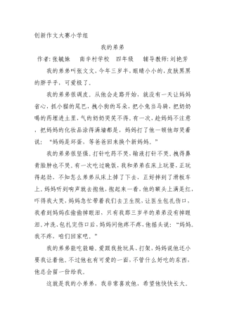 创新作文大赛小学组(张毓姝）